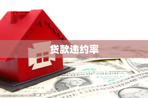 滨城贷款违约率
