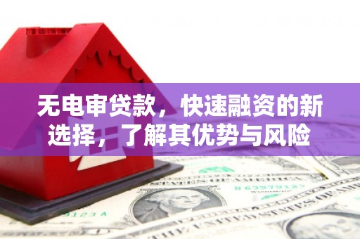 滨城无电审贷款，快速融资的新选择，了解其优势与风险