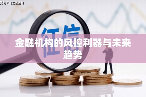 滨城金融机构的风控利器与未来趋势
