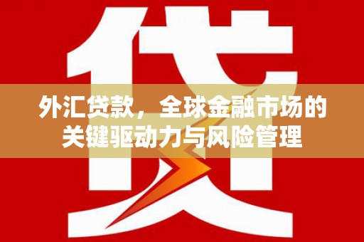 滨城外汇贷款，全球金融市场的关键驱动力与风险管理