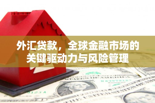 滨城外汇贷款，全球金融市场的关键驱动力与风险管理