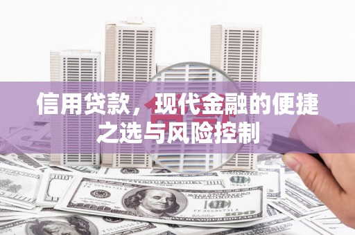 滨城信用贷款，现代金融的便捷之选与风险控制