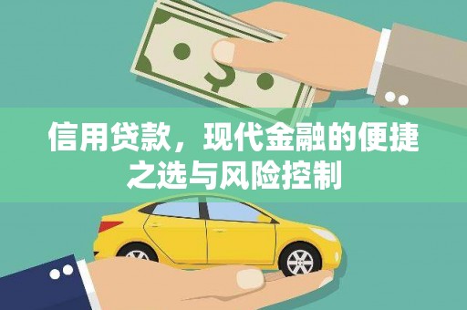 滨城信用贷款，现代金融的便捷之选与风险控制