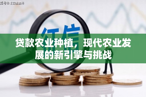 滨城贷款农业种植，现代农业发展的新引擎与挑战
