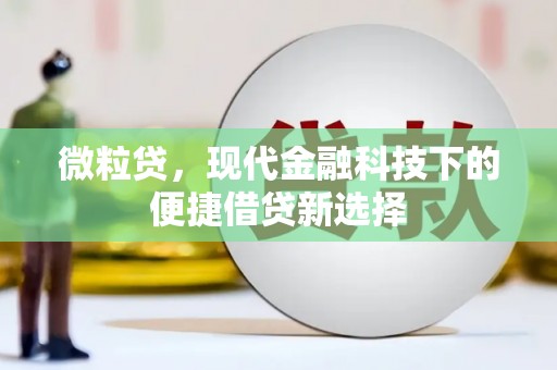滨城微粒贷，现代金融科技下的便捷借贷新选择
