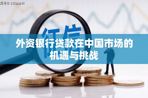 滨城外资银行贷款在中国市场的机遇与挑战