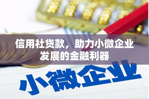 滨城信用社贷款，助力小微企业发展的金融利器