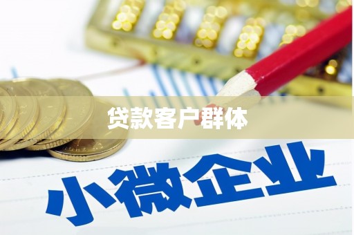 滨城贷款客户群体