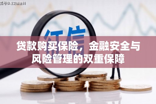 滨城贷款购买保险，金融安全与风险管理的双重保障