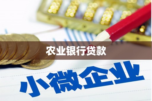 滨城农业银行贷款