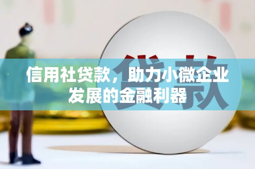 滨城信用社贷款，助力小微企业发展的金融利器