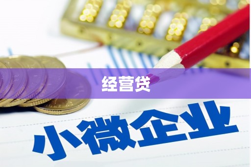 滨城经营贷
