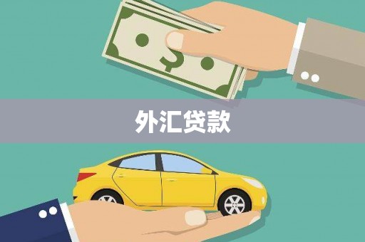 滨城外汇贷款