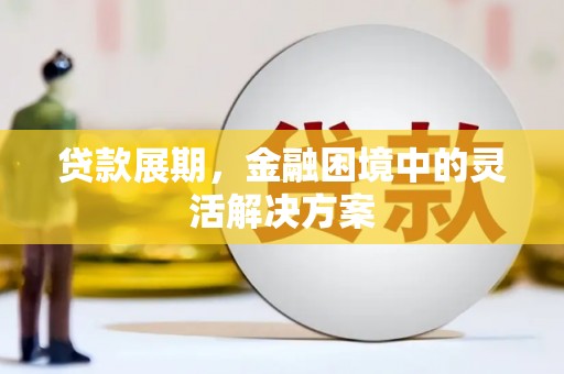 滨城贷款展期，金融困境中的灵活解决方案