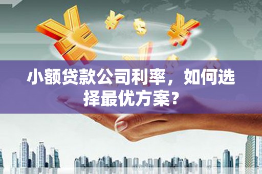 滨城小额贷款公司利率，如何选择最优方案？