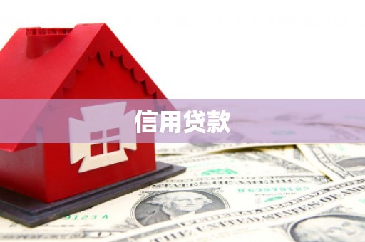滨城信用贷款