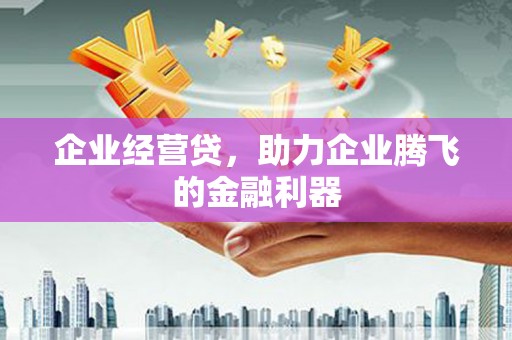 滨城企业经营贷，助力企业腾飞的金融利器