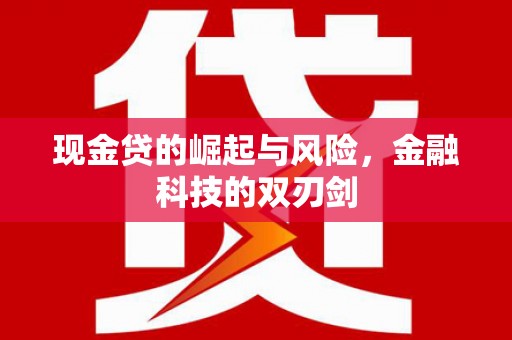 滨城现金贷的崛起与风险，金融科技的双刃剑