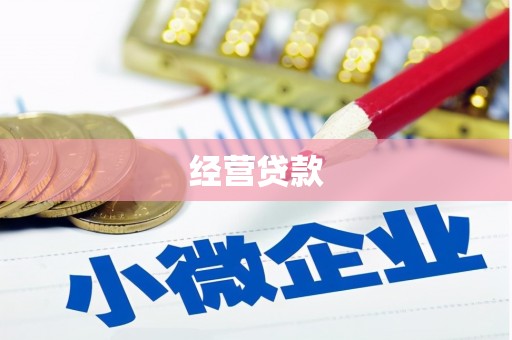 滨城经营贷款
