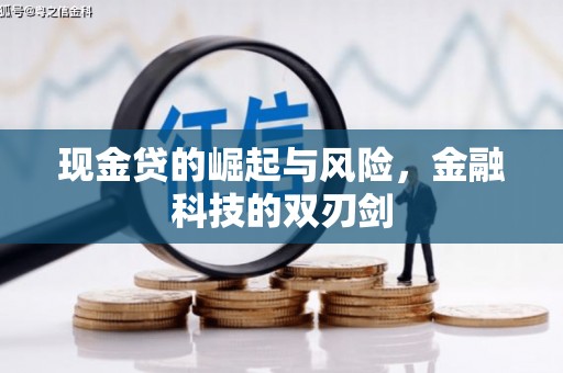 滨城现金贷的崛起与风险，金融科技的双刃剑