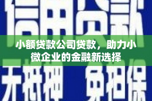滨城小额贷款公司贷款，助力小微企业的金融新选择