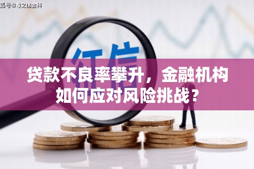 滨城贷款不良率攀升，金融机构如何应对风险挑战？