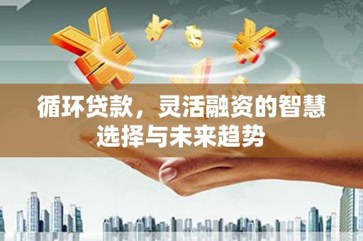 滨城循环贷款，灵活融资的智慧选择与未来趋势