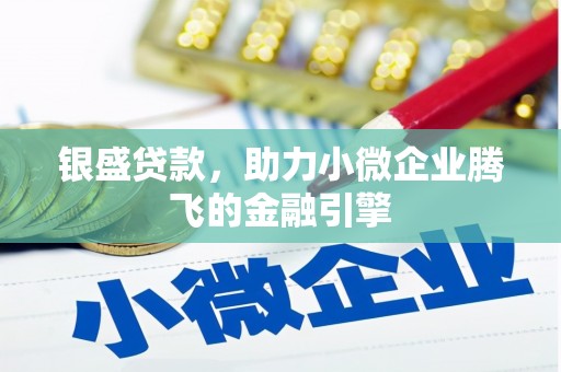 滨城银盛贷款，助力小微企业腾飞的金融引擎