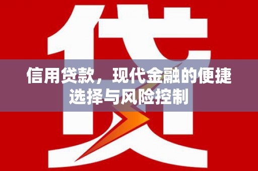 滨城信用贷款，现代金融的便捷选择与风险控制