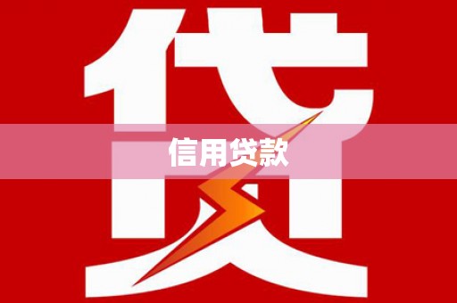 滨城信用贷款