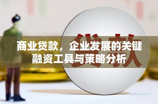 滨城商业贷款，企业发展的关键融资工具与策略分析