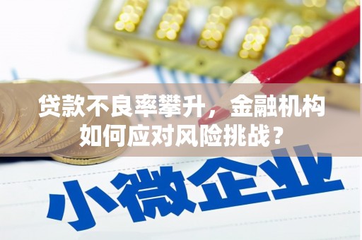 滨城贷款不良率攀升，金融机构如何应对风险挑战？