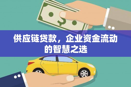 滨城供应链贷款，企业资金流动的智慧之选