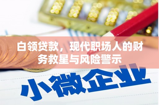 滨城白领贷款，现代职场人的财务救星与风险警示