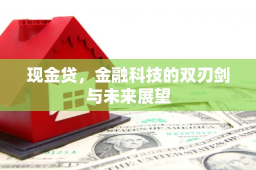 滨城现金贷，金融科技的双刃剑与未来展望