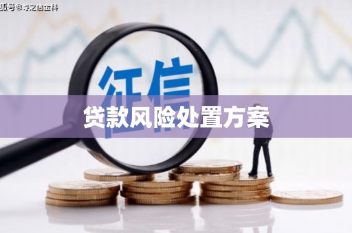 滨城贷款风险处置方案