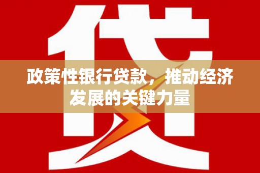 滨城政策性银行贷款，推动经济发展的关键力量