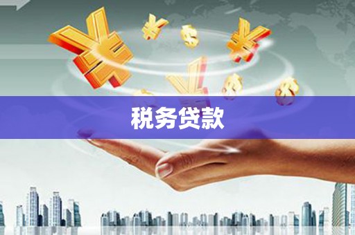 滨城税务贷款