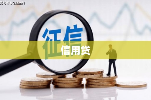滨城信用贷