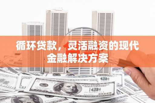 滨城循环贷款，灵活融资的现代金融解决方案