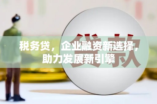 滨城税务贷，企业融资新选择，助力发展新引擎