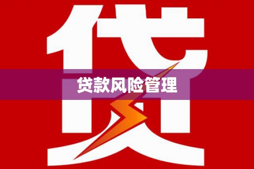 滨城贷款风险管理