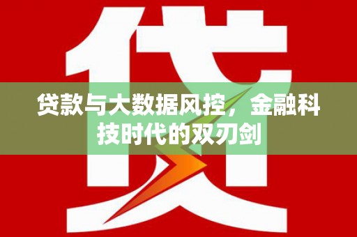 滨城贷款与大数据风控，金融科技时代的双刃剑
