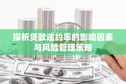 滨城探析贷款违约率的影响因素与风险管理策略