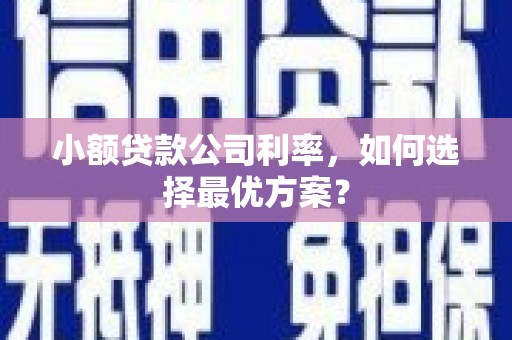滨城小额贷款公司利率，如何选择最优方案？