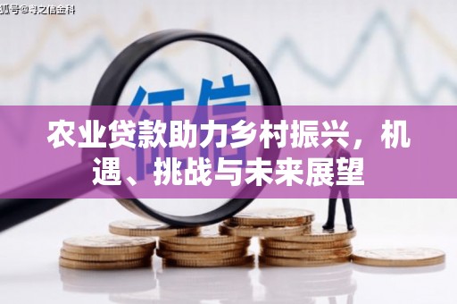 滨城农业贷款助力乡村振兴，机遇、挑战与未来展望