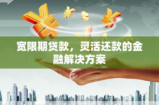 滨城宽限期贷款，灵活还款的金融解决方案