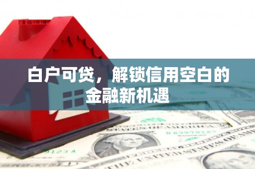 滨城白户可贷，解锁信用空白的金融新机遇