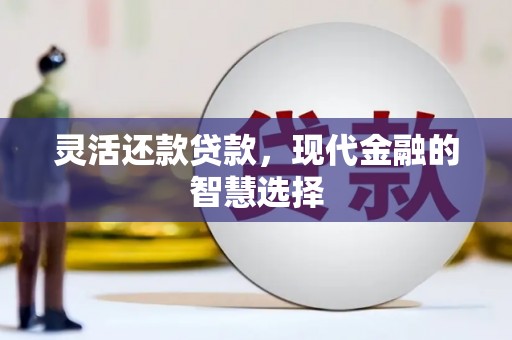 滨城灵活还款贷款，现代金融的智慧选择