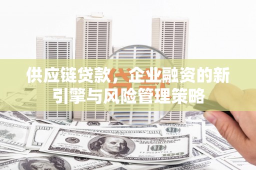 滨城供应链贷款，企业融资的新引擎与风险管理策略